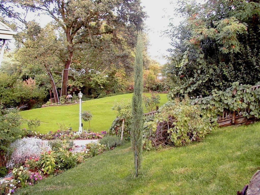 Robin'S Nest Bed & Breakfast San Andreas Luaran gambar